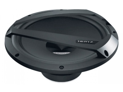 Hertz DS 250.3 Subwoofer