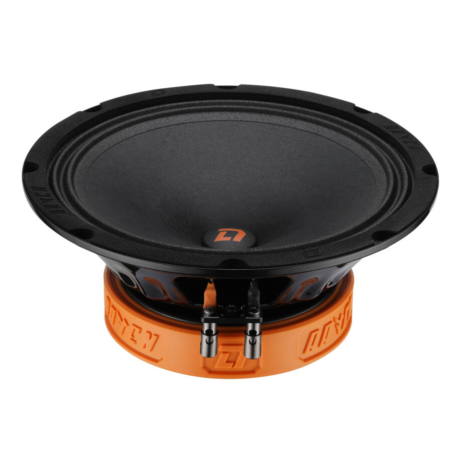 DL Audio Raven 200