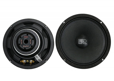 FSD Audio Master 165 FN